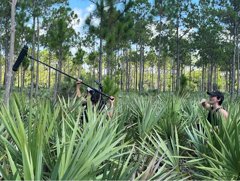 filiming in the scrubland woods