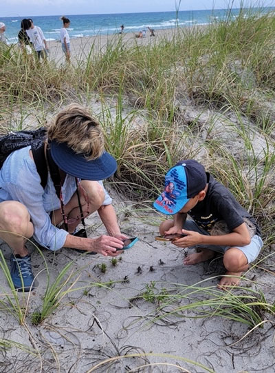 adult with a child examine plants on a sand dune